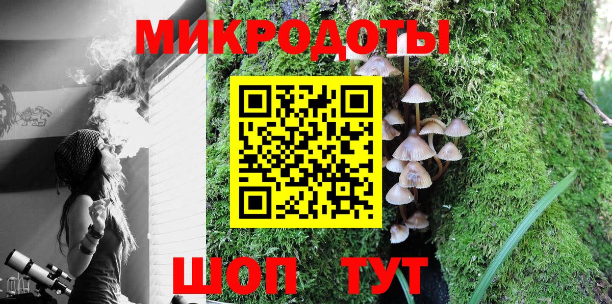 Псилоцибиновые грибы мухоморы Югорск